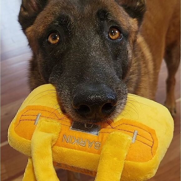 ❤ Host Pick ❤ Dog Toy Purse Plush Squeaker Great Quality Dog Gift for Big Dogs - Picture 2 of 2